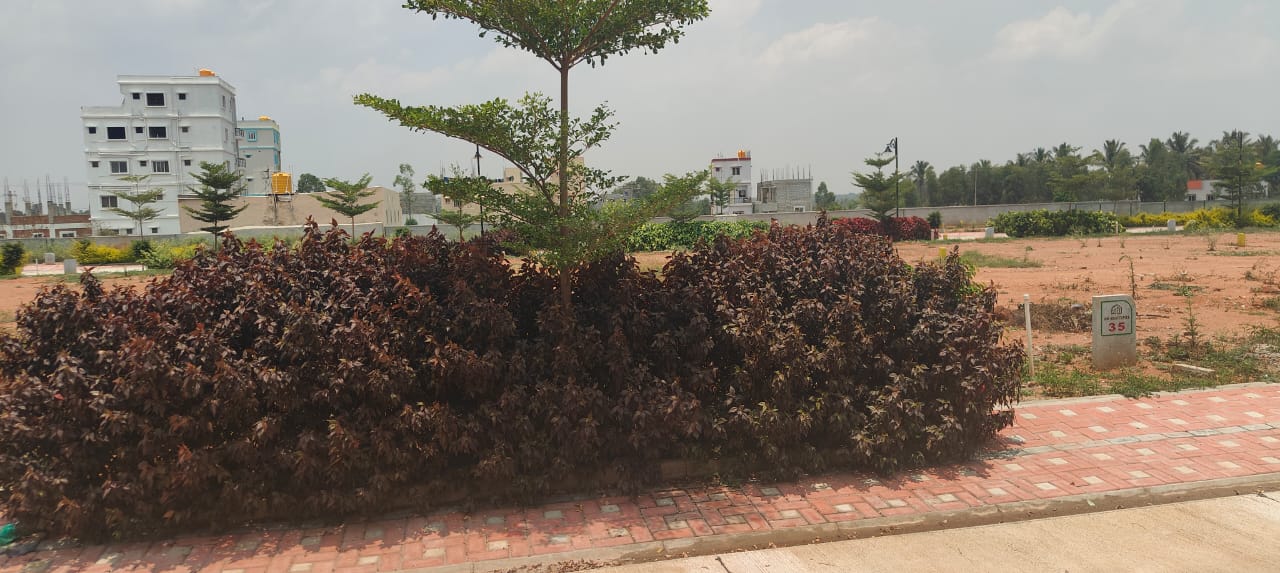 Property sale in Whitefield location 