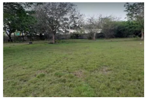 Corner Plot in Doctors Enclave,  a Gated Community at Alappakkam, Chengalpattu