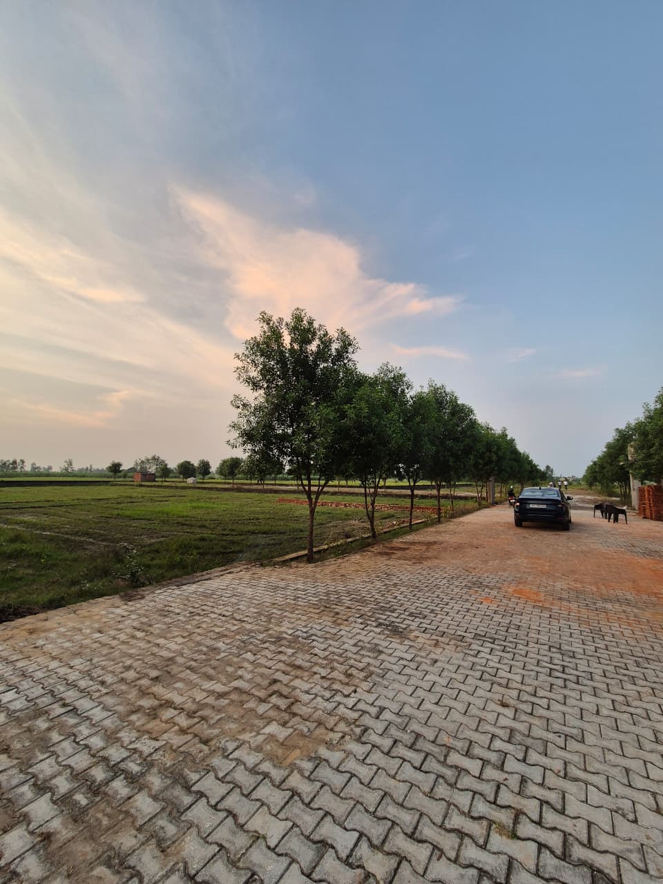 100 Gaj Plot at ₹13,50,000 