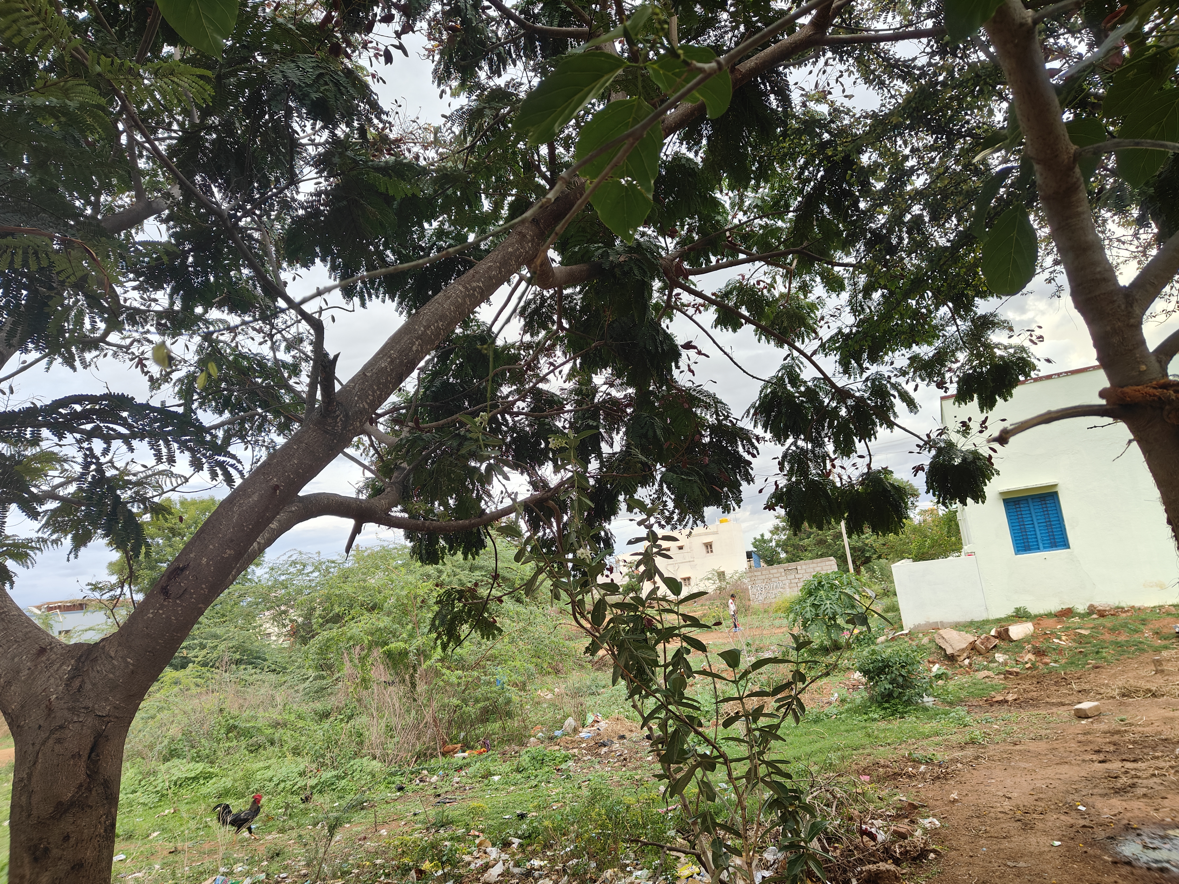 Plot Backside of Lakshmipuram,DR Colony, Hindupur,