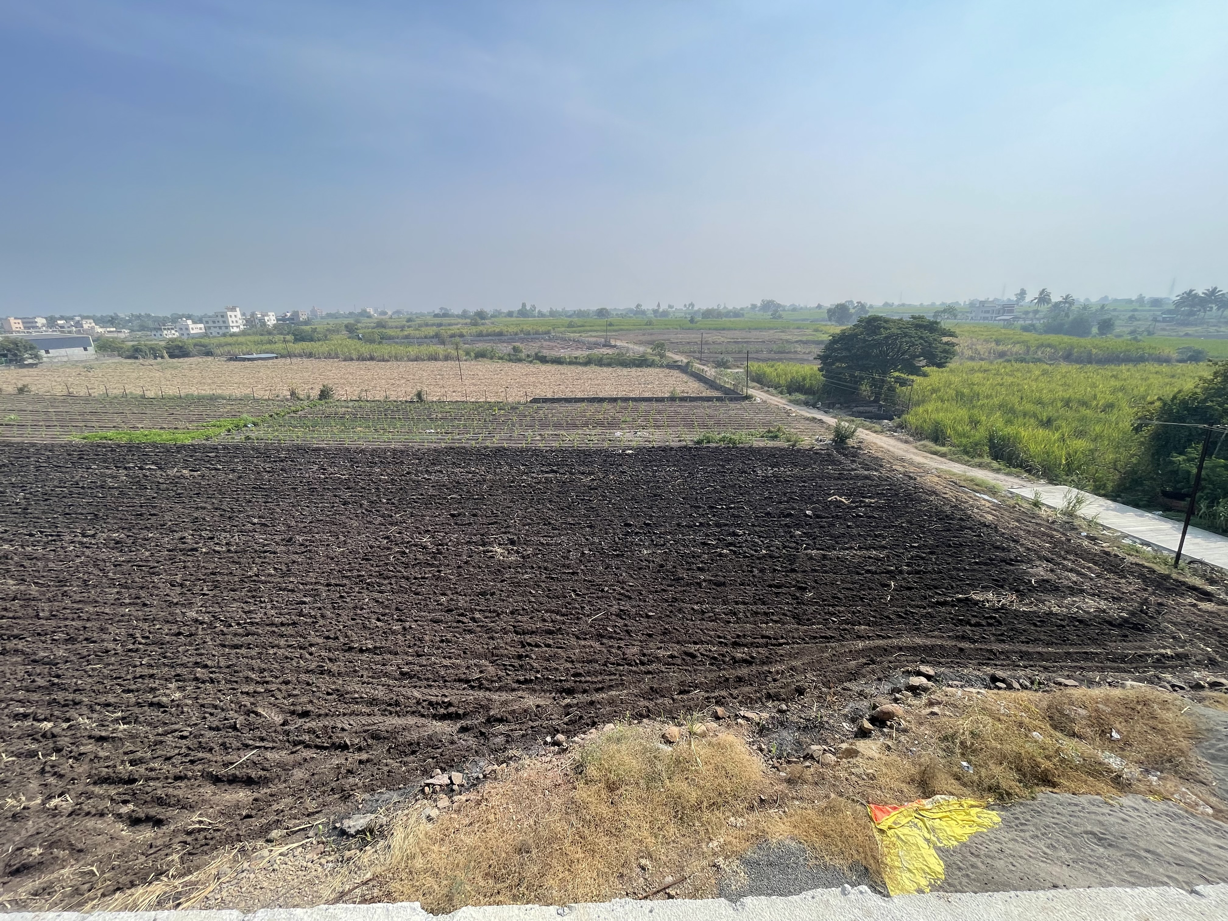 One and half acre in manjri Khurd with road access 