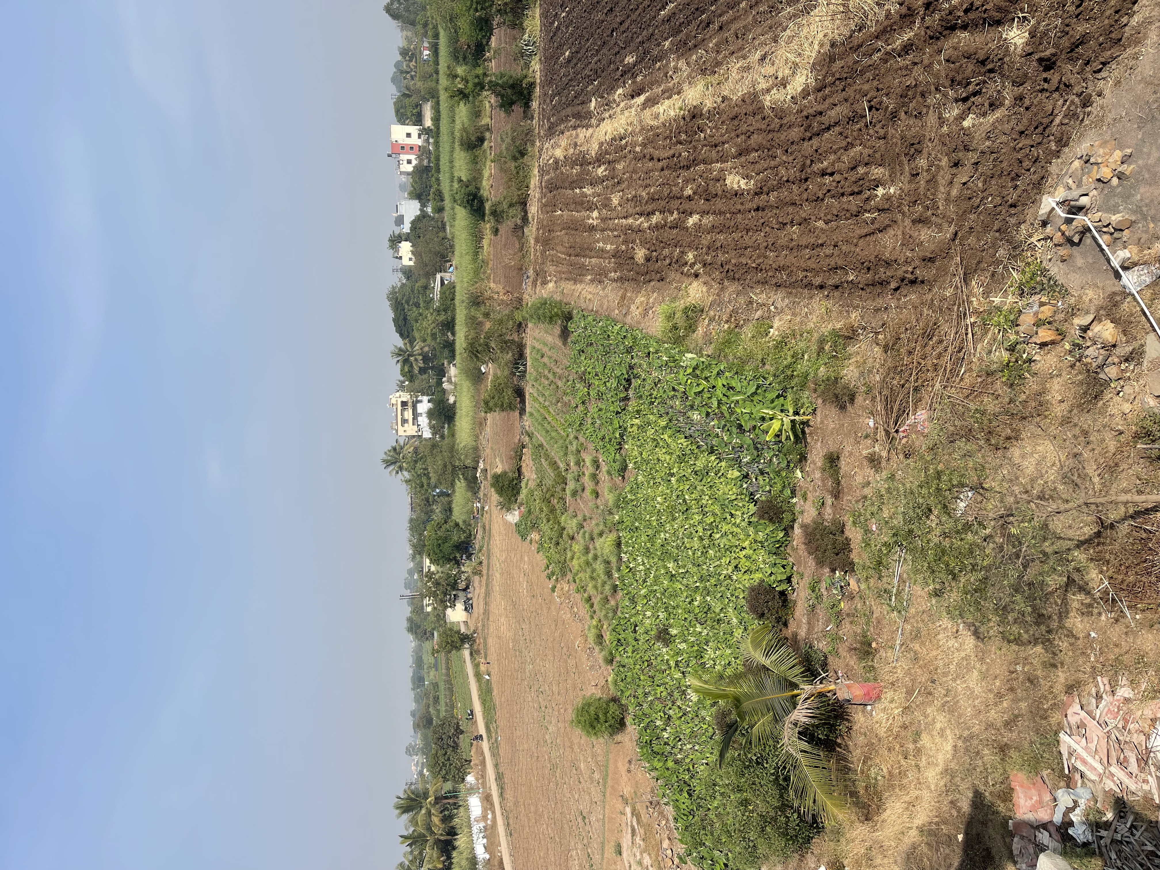 One and half acre in manjri Khurd with road access 