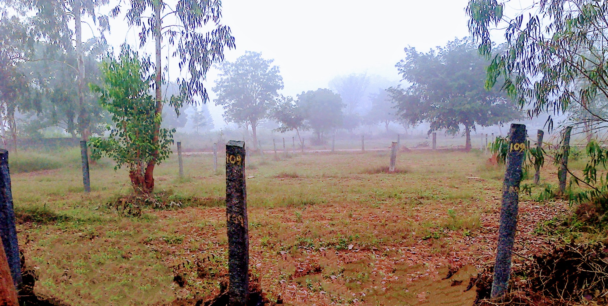 Plot for sale in Devanahalli Bangalore Karnataka 