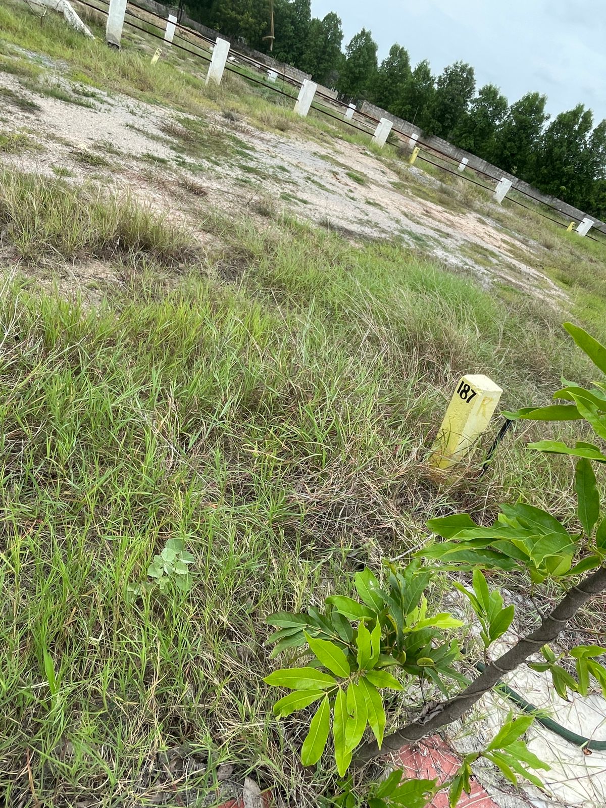 HMDA Plot For Sale Near Nandigama Road (Patancheruvu to Shankarpalli Road)