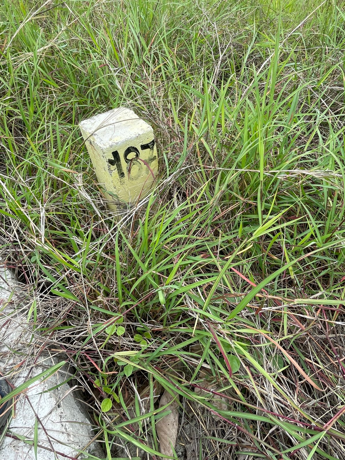 HMDA Plot For Sale Near Nandigama Road (Patancheruvu to Shankarpalli Road)