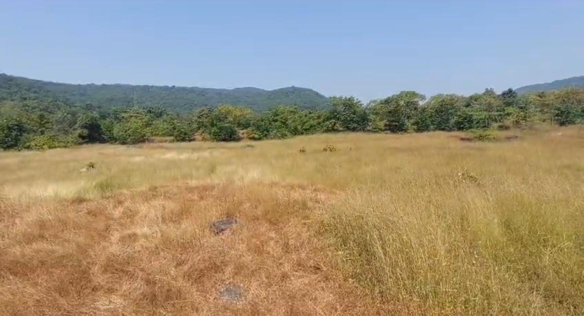 136 Guntha Agricultural Land for Sale in Konkan (Raigad District)