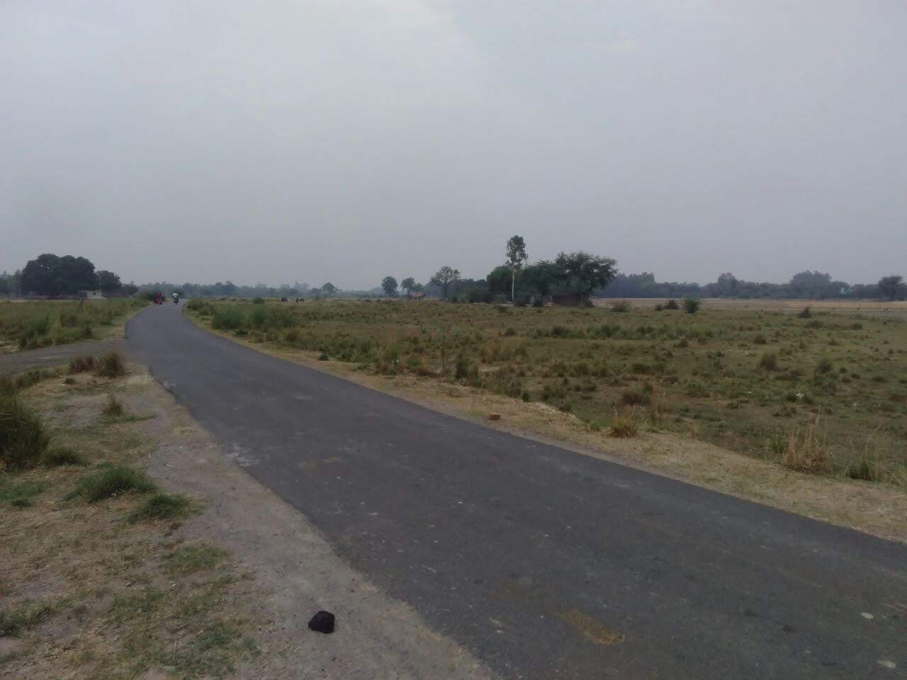 5 bigha land in lucknow