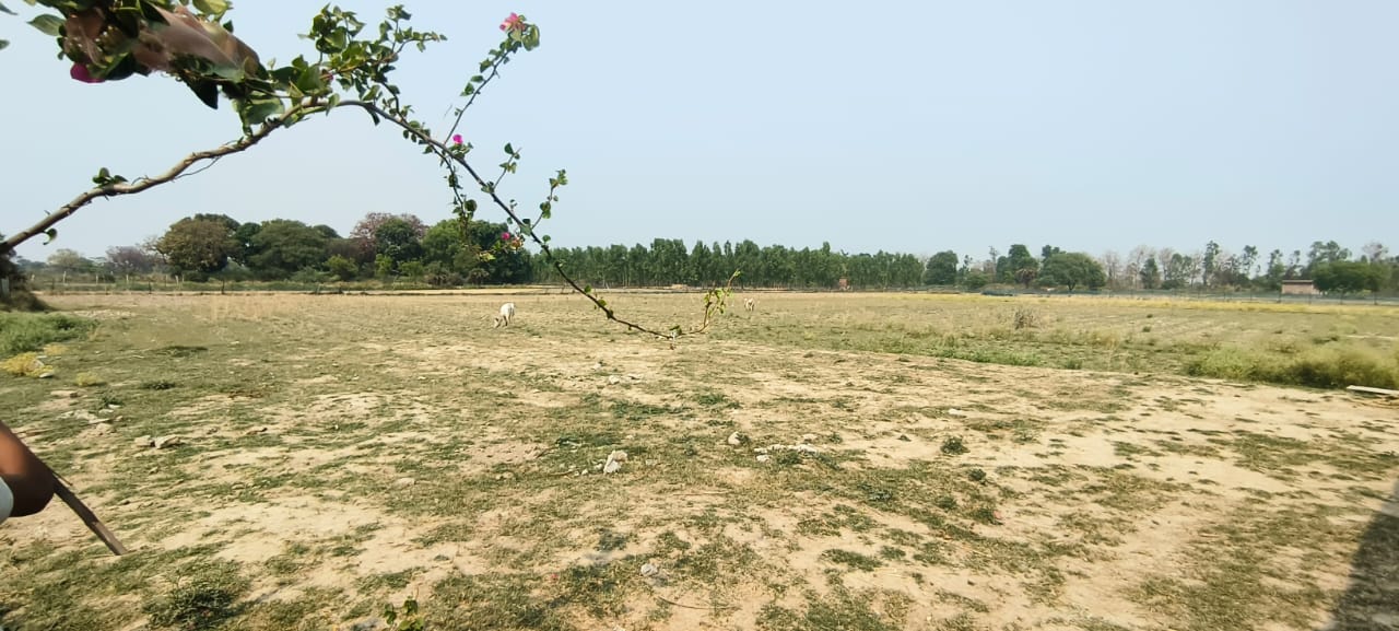 5 bigha land in lucknow