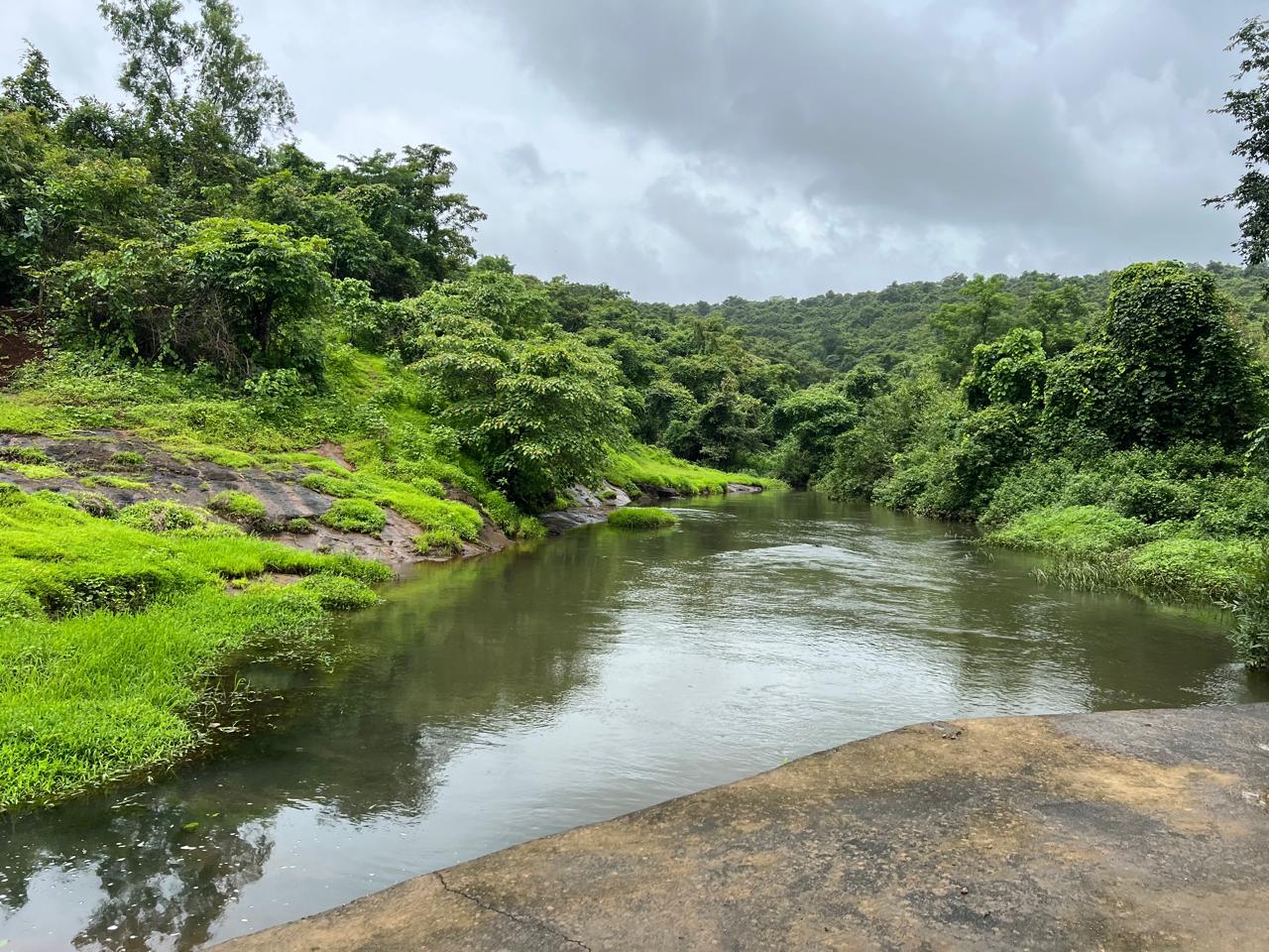 40 acres of land for sale in Muthavli, Tarf Tale. Off Tale - Indapur Road