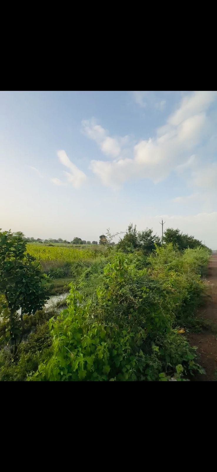 2.6 Bhiga Main Highway Land on NH3 Shivpuri for sale