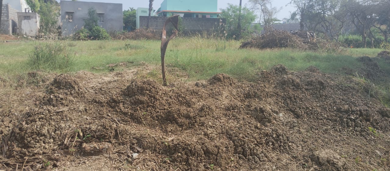 Low cost 10cents plot 