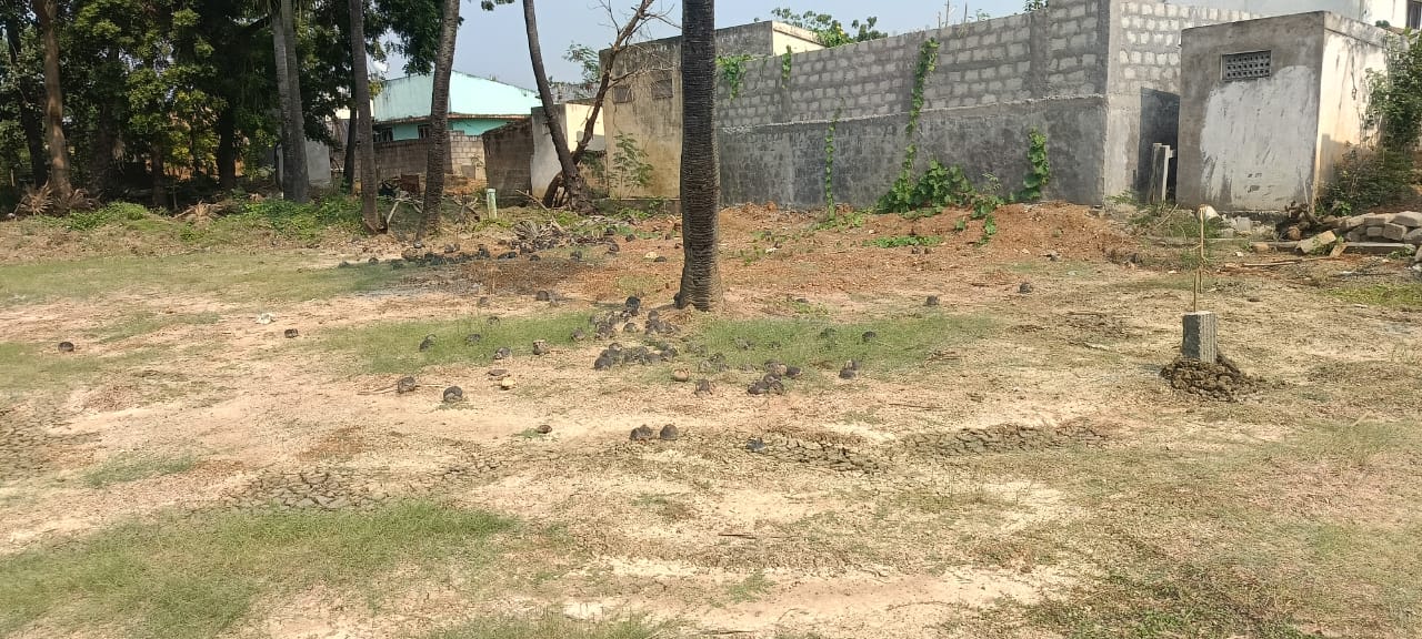 Low cost 10cents plot 