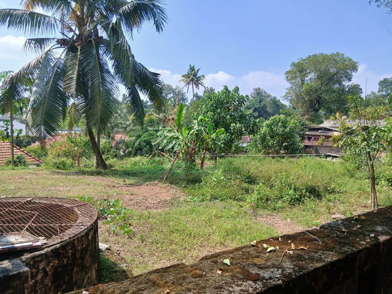 36.6 Cents in Kaipuzha, Kottayam