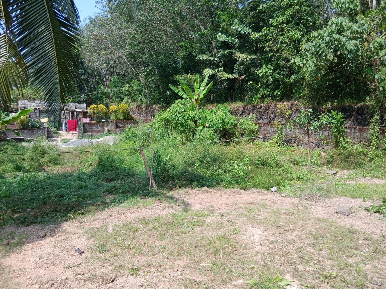 36.6 Cents in Kaipuzha, Kottayam