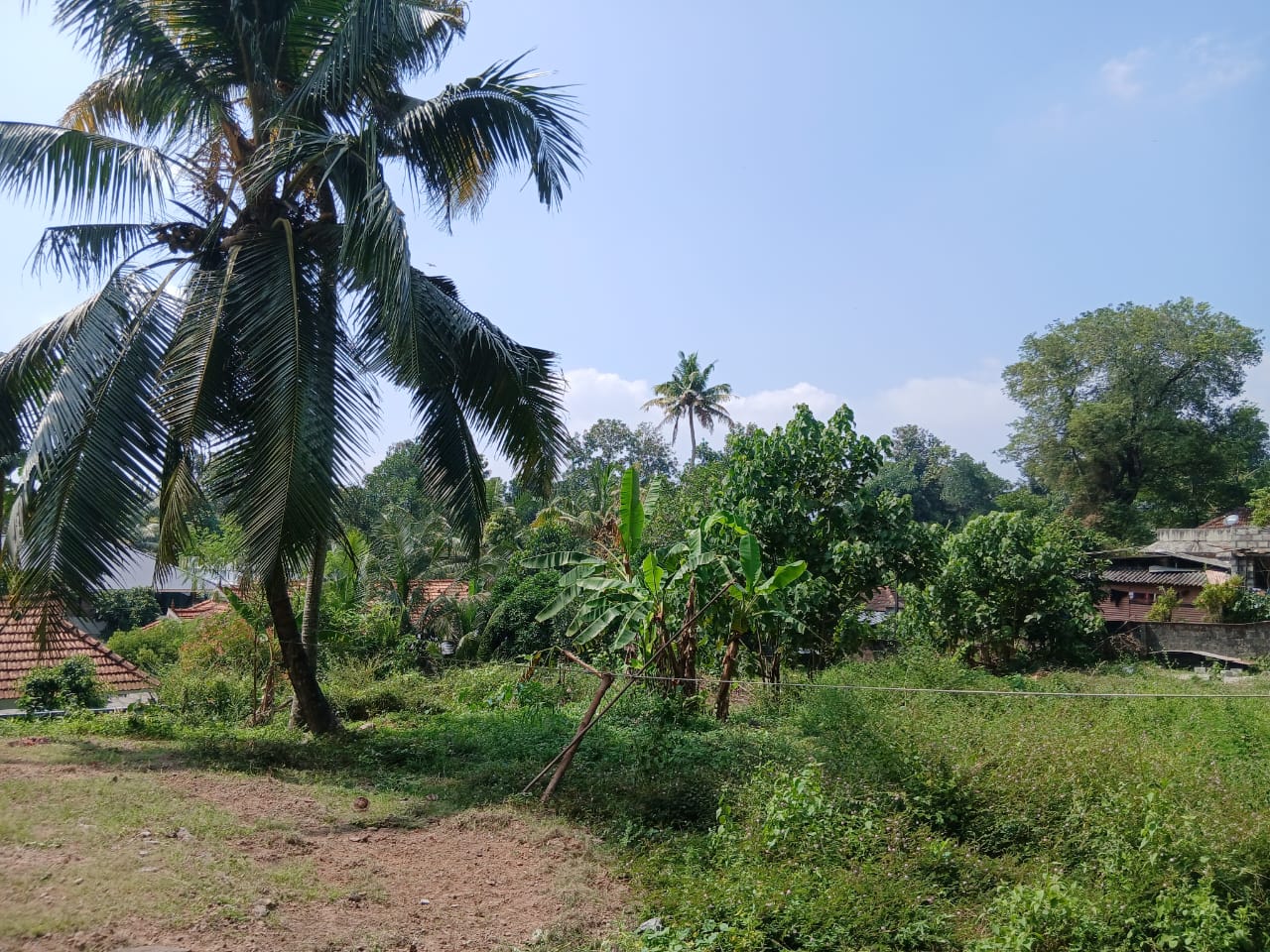 36.6 Cents in Kaipuzha, Kottayam