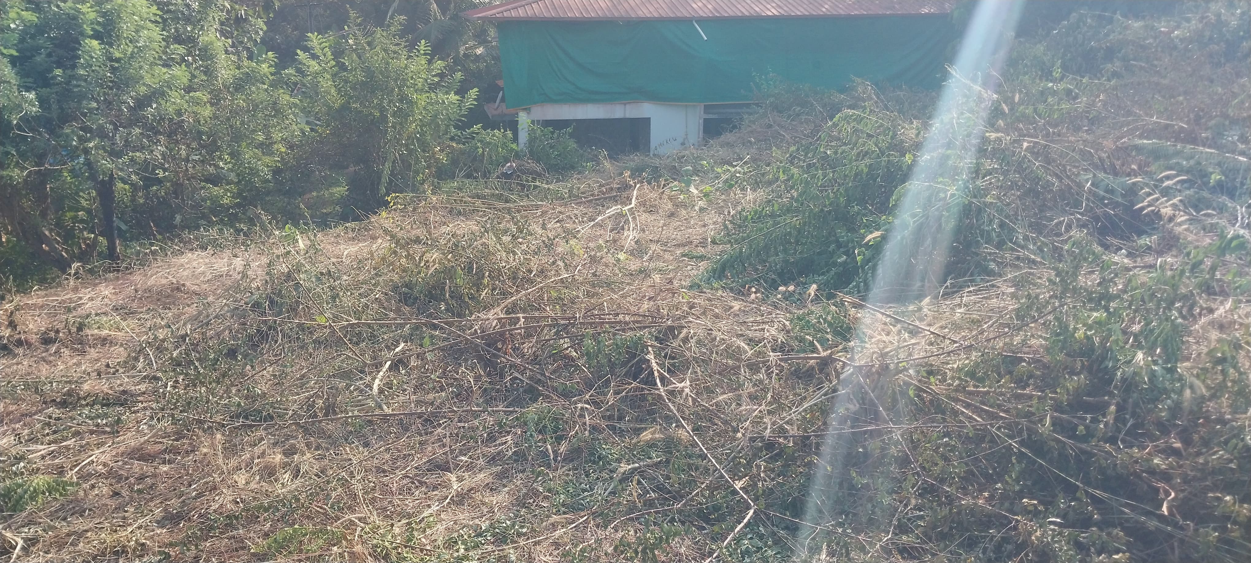 21 cents land at Shaktinagar Mangalore 