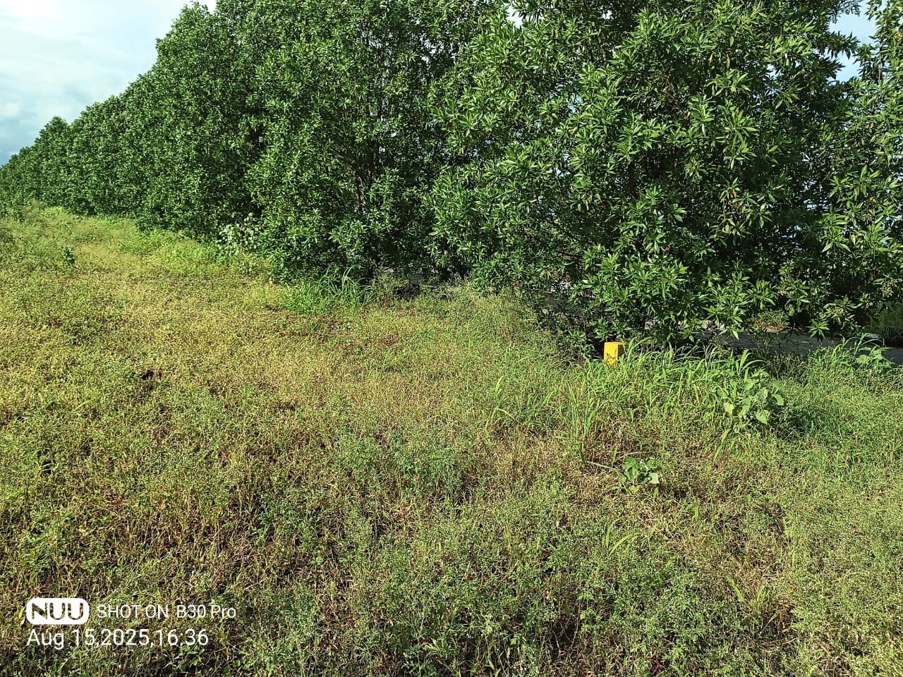 East Facing plot -on NH 65 (hyd mum highway)