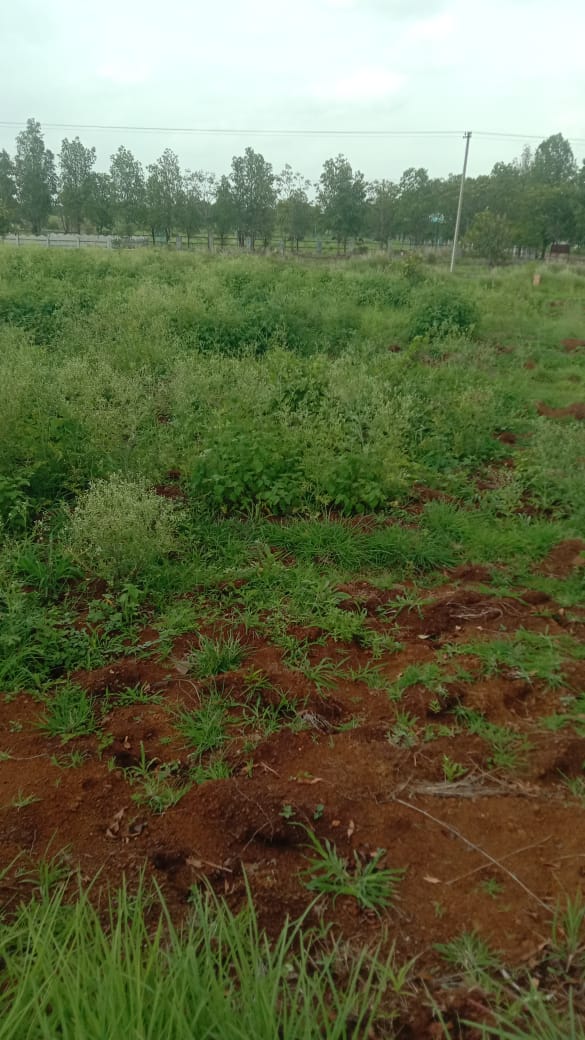 Plot for Sale - 2min Walk from National Highway, Direct Owner