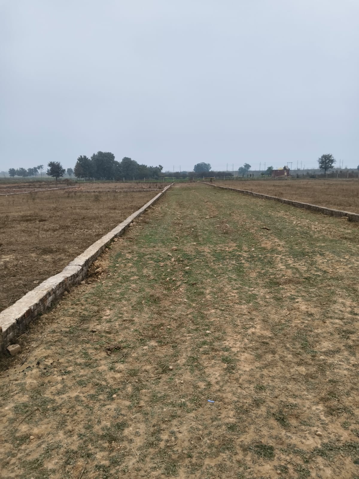 100 Gaj Plot for Sale in Jhalwa, Prayagraj 