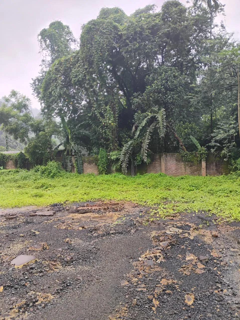 Godown with land available .. For sale/lease at Byrnijat,12mile,opp. of St Claret school,Guwhati,assam,india