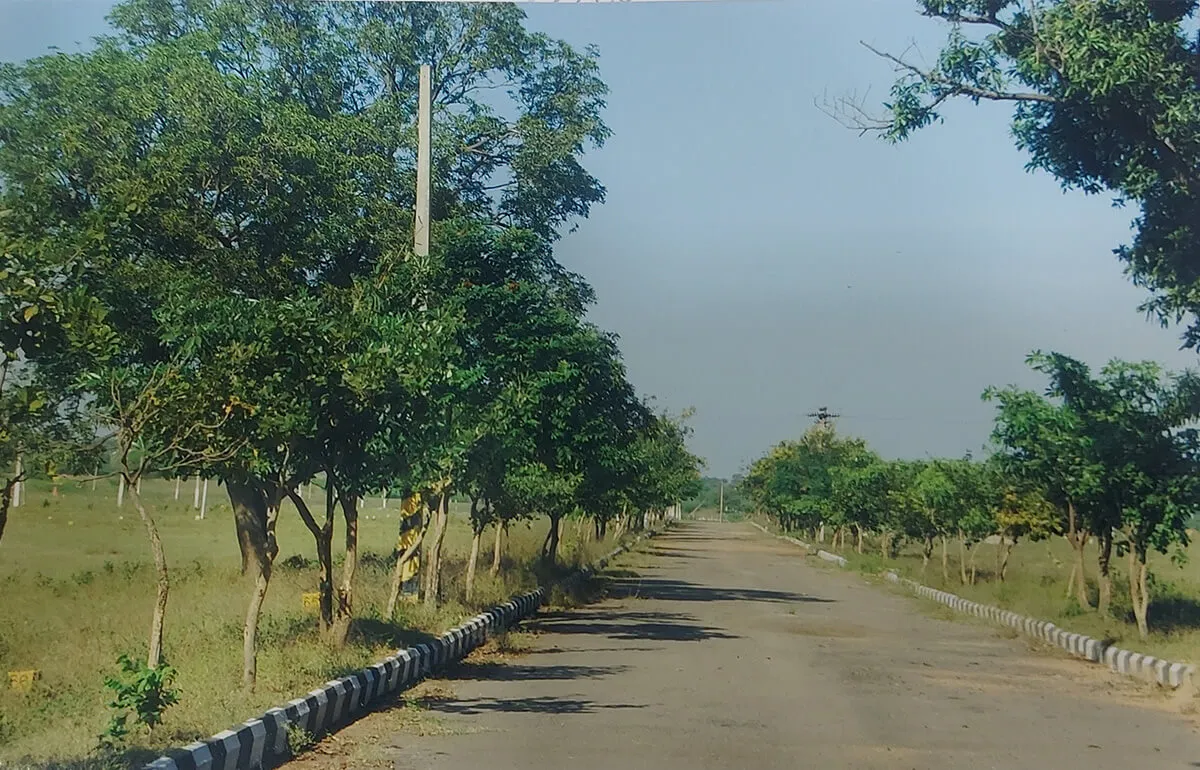 Plot for Sale near Shamshabad  (150 sq.yards)