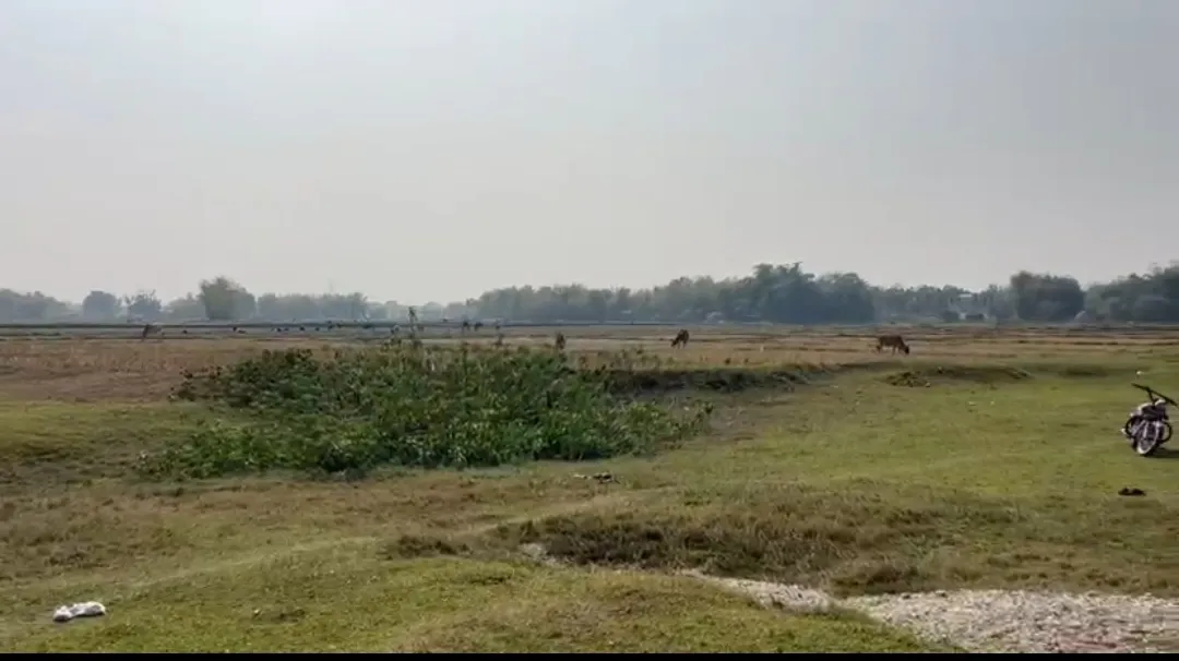 Urgent Sale 20 Bigha (2,88000 sqft) 