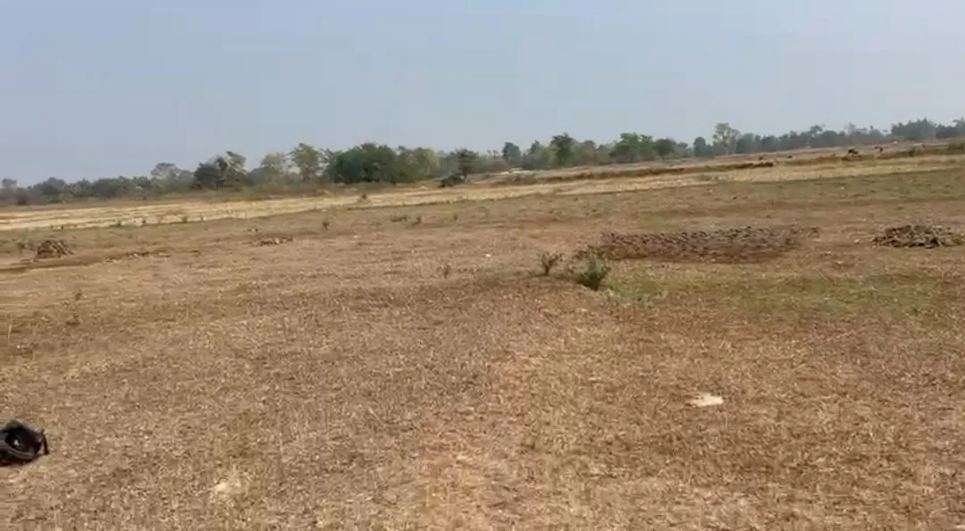 Urgent Sale 20 Bigha (2,88000 sqft) 