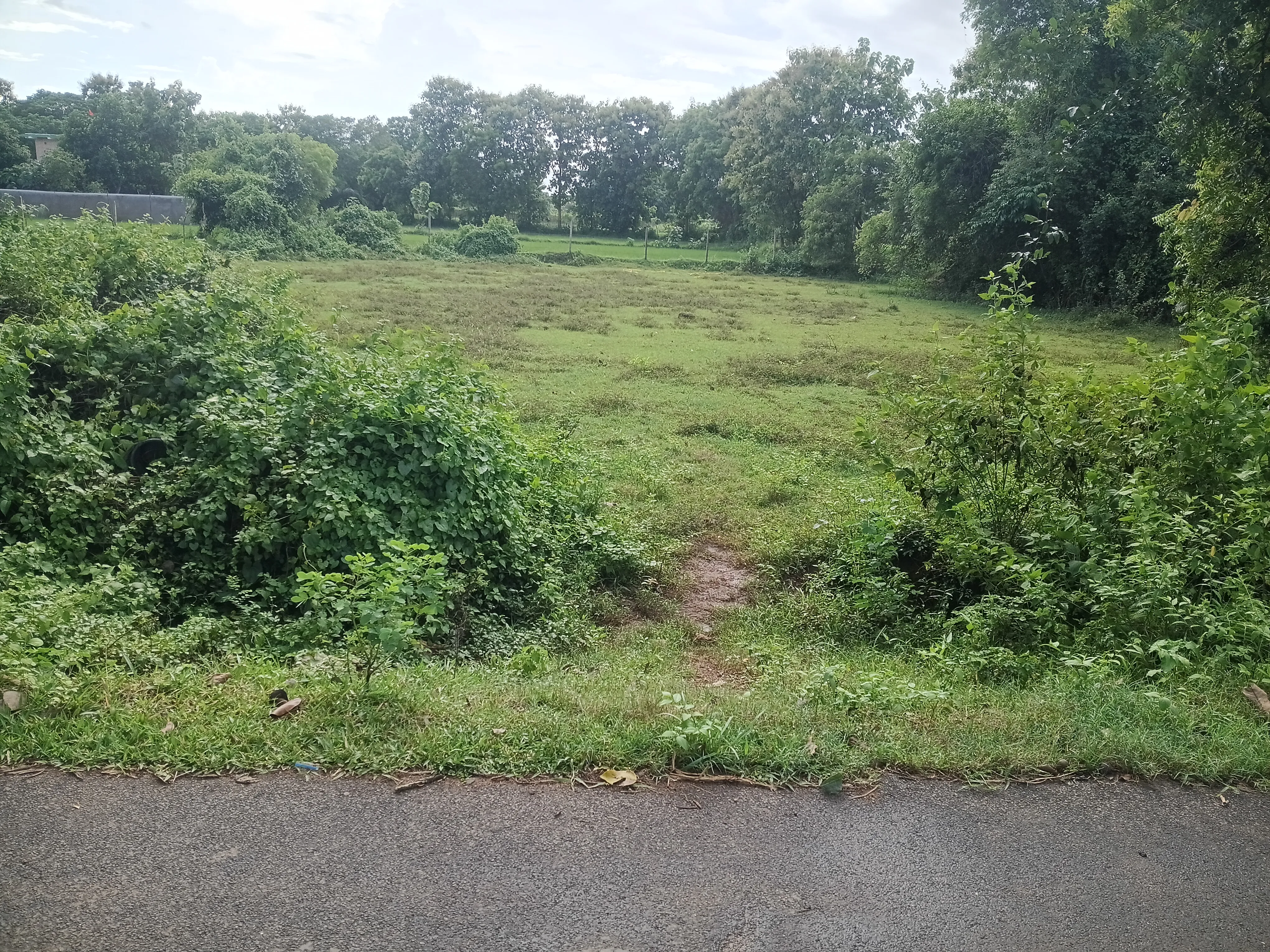 14000 sqft Land for Sale