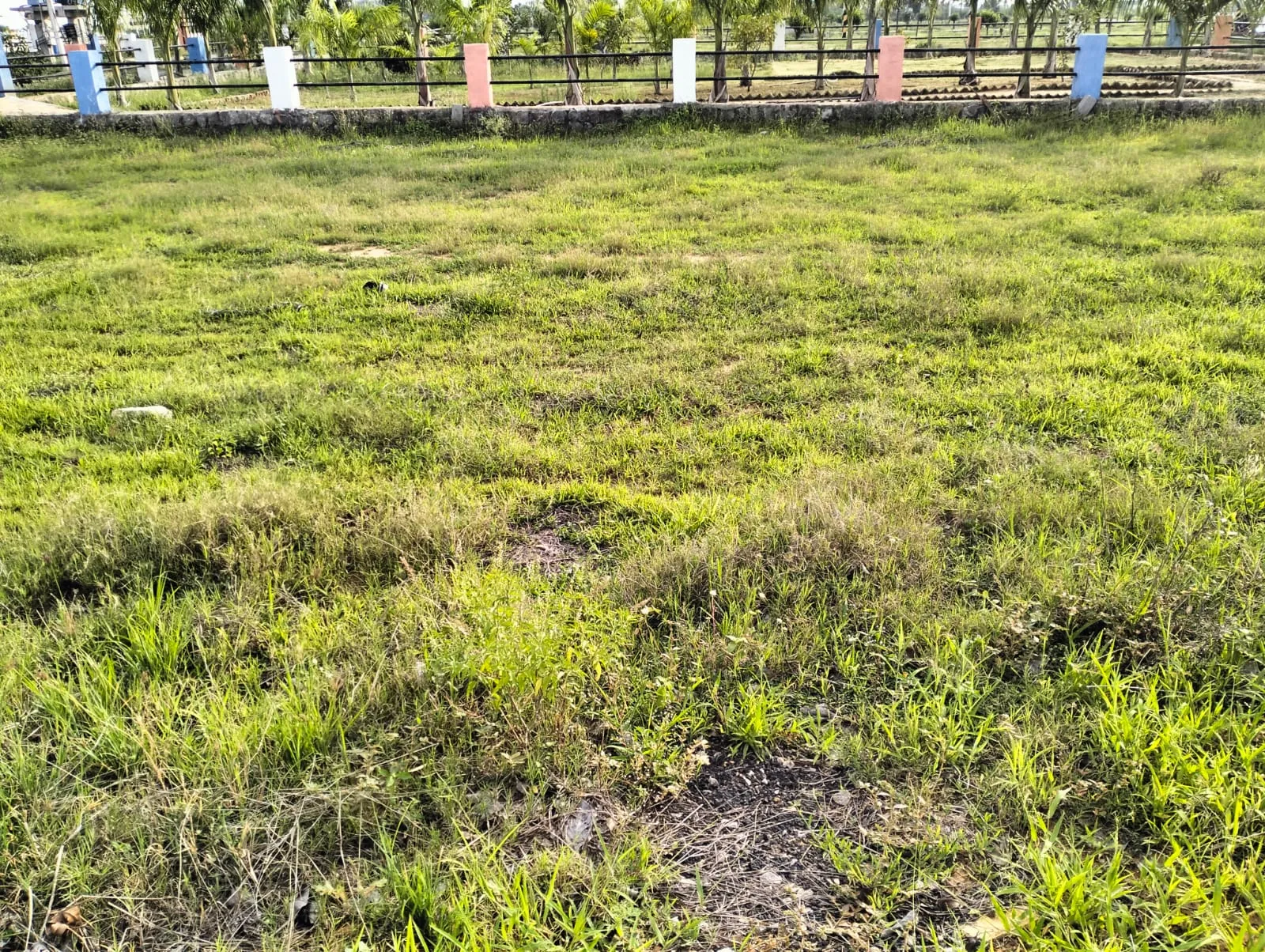 HMDA & RERA Approved Residential Plot in Hyderabad for Sale at Mansanpalle X Road in Sree Balaji County Project