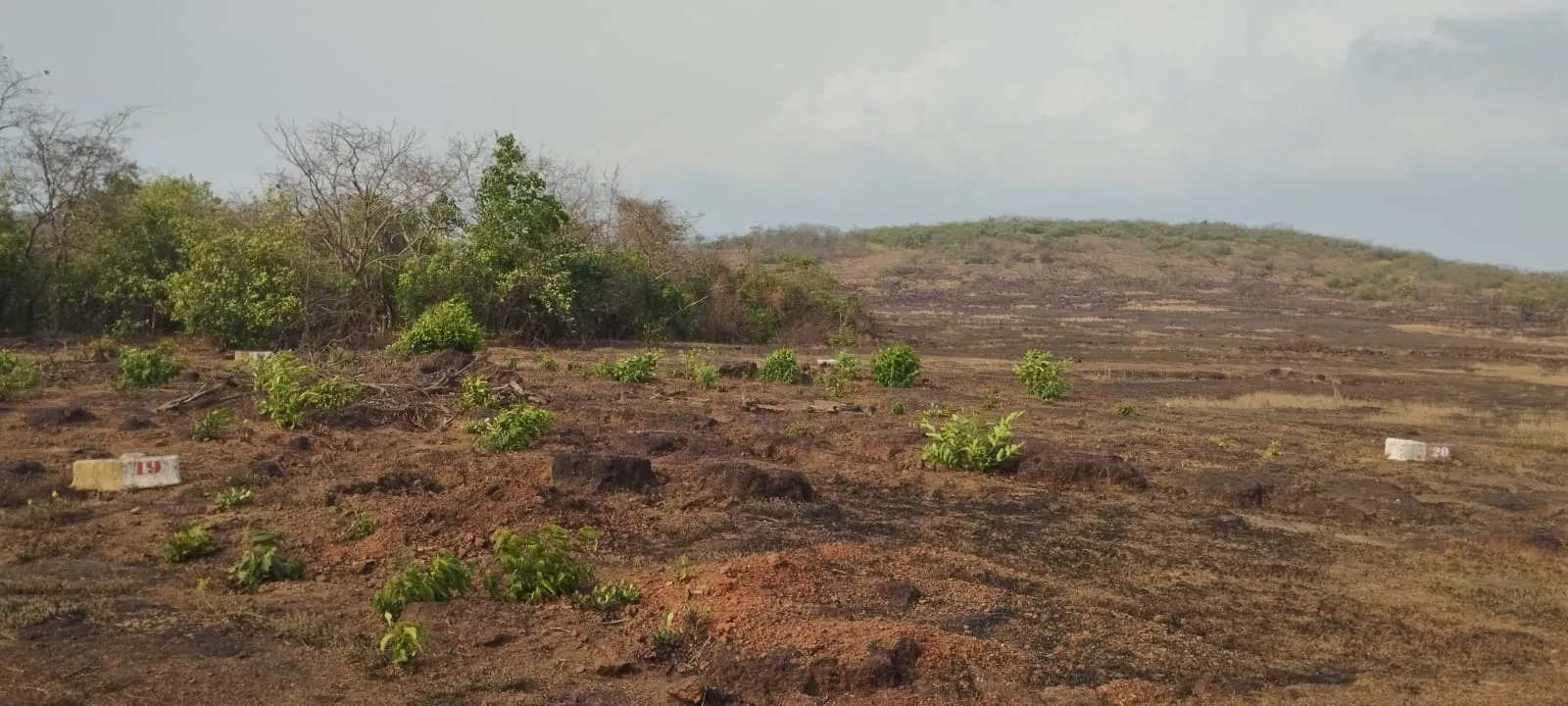 3012 Sq.Ft of Land Plot in Ratnagiri, Maharashtra.