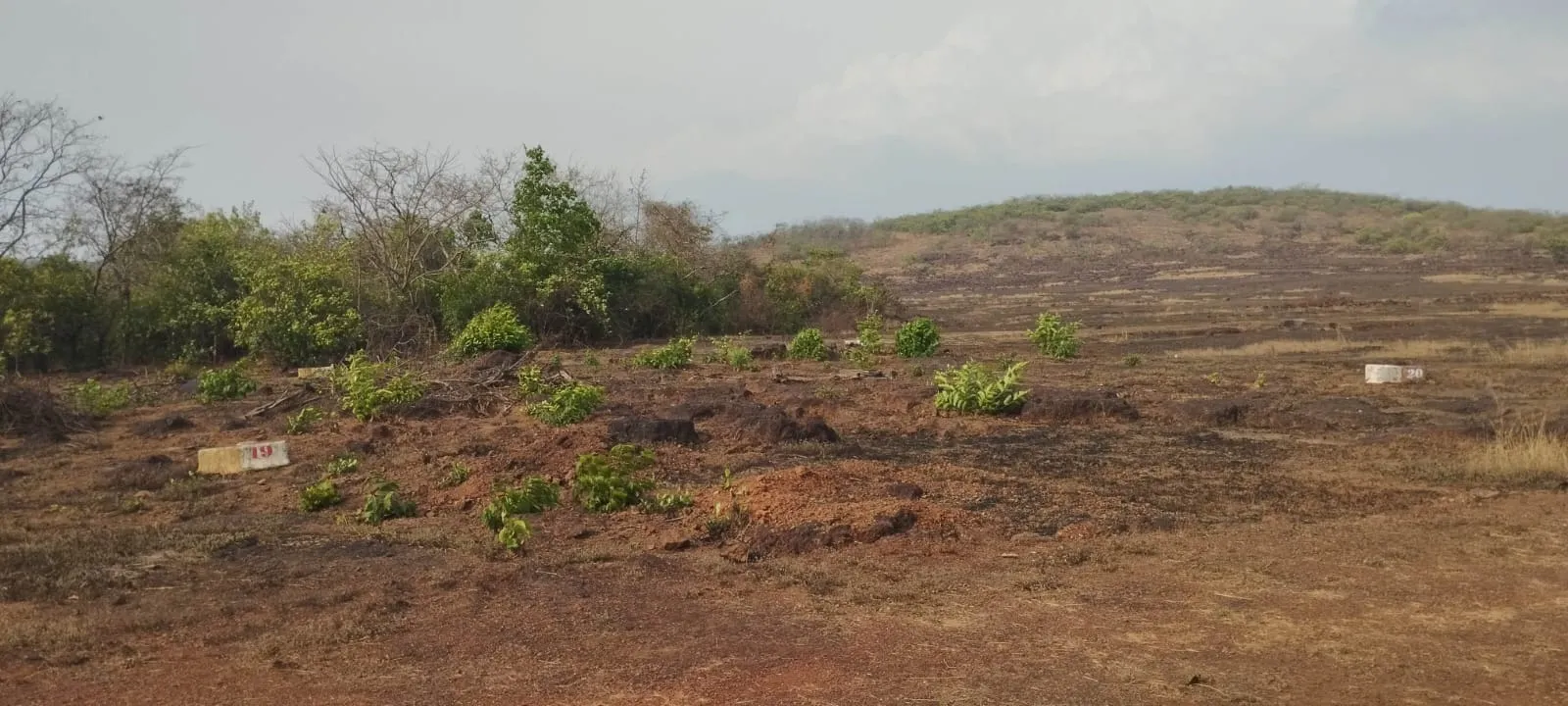 3012 Sq.Ft of Land Plot in Ratnagiri, Maharashtra.