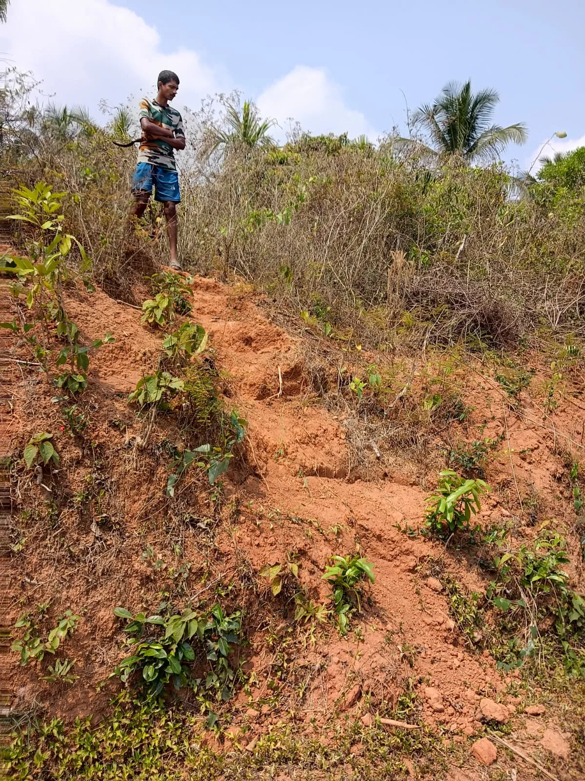 1 Acre plot in Kerala