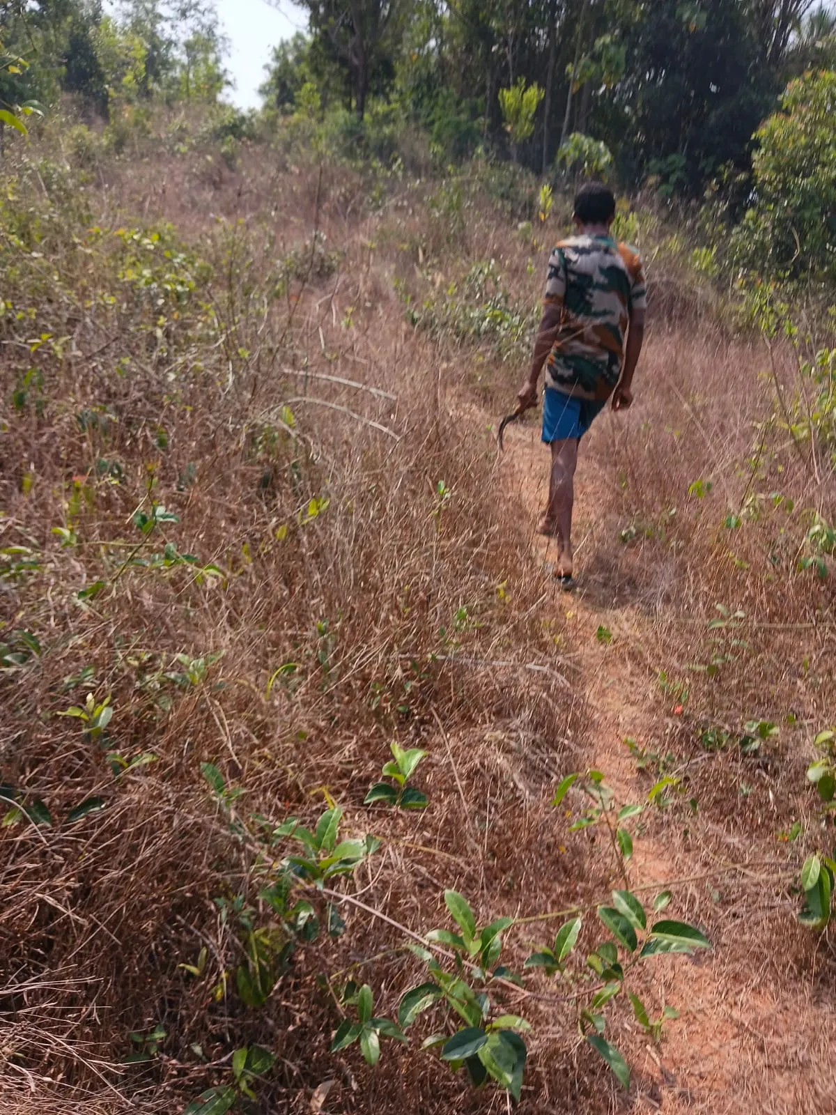 1 Acre plot in Kerala