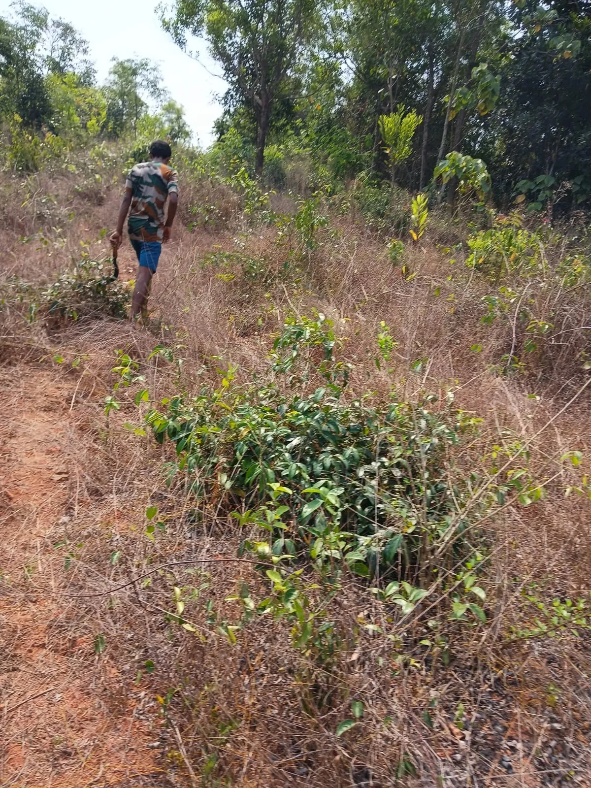 1 Acre plot in Kerala