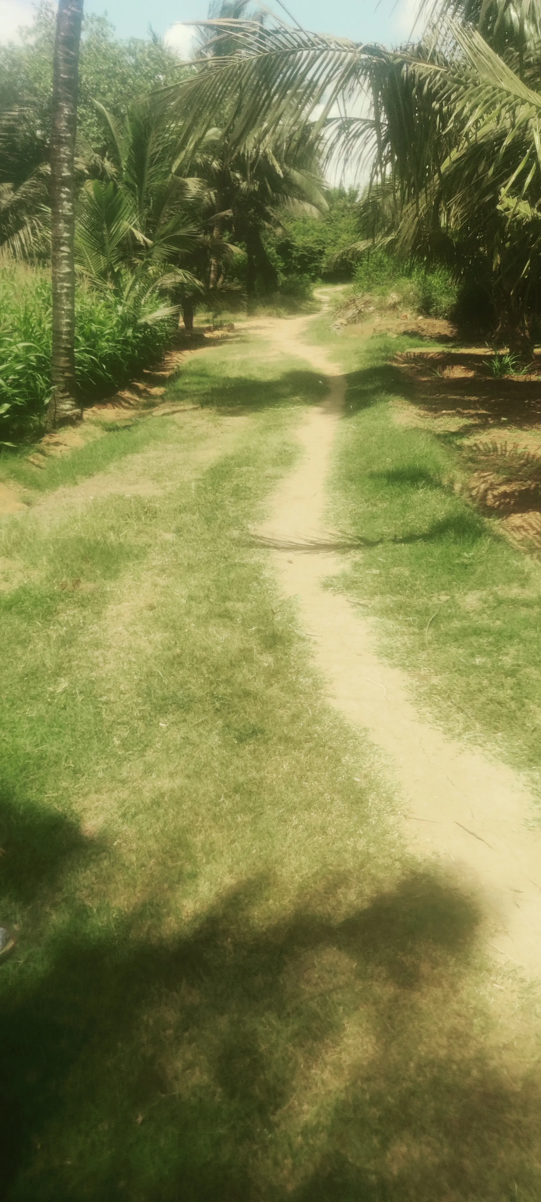 2 acres agriculture property for sale in coimbatore 