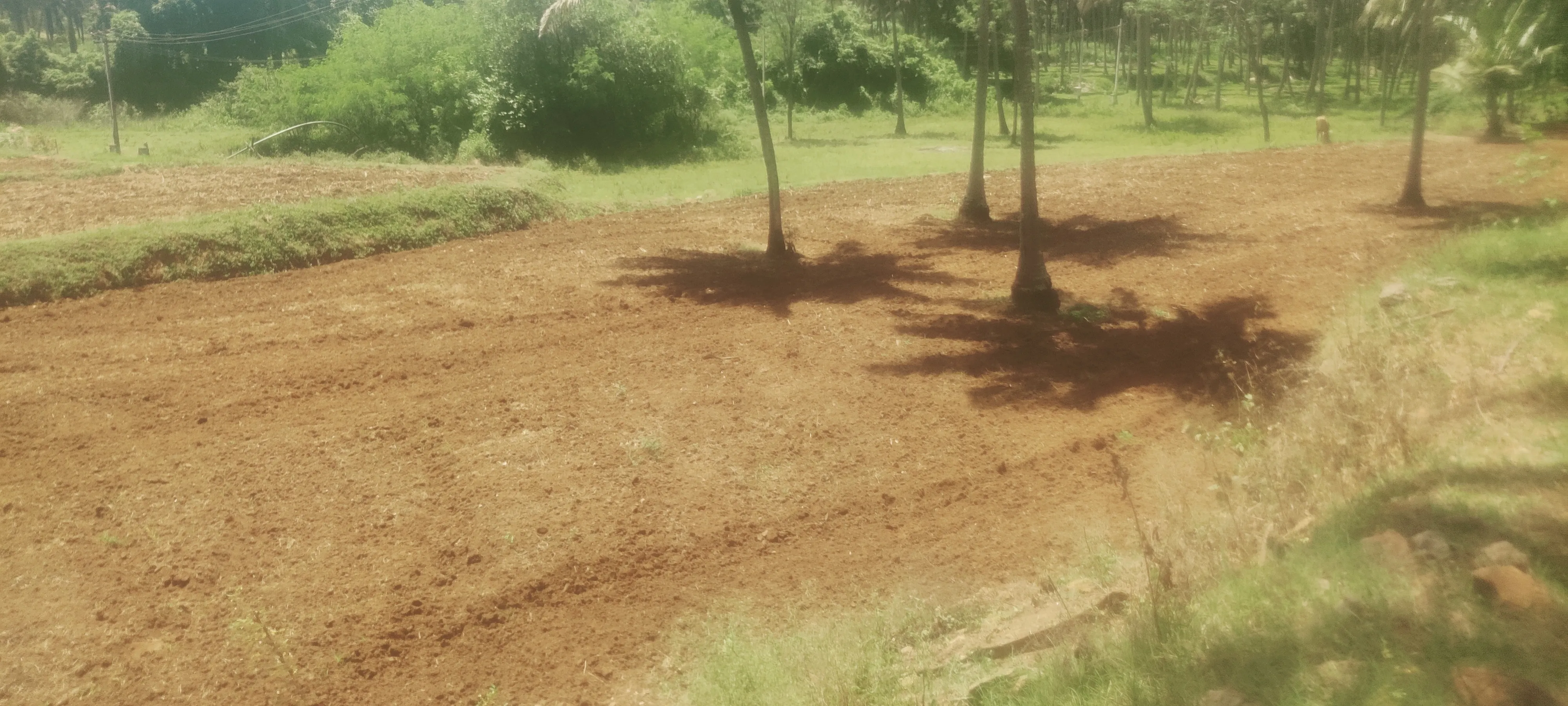 2 acres agriculture property for sale in coimbatore 