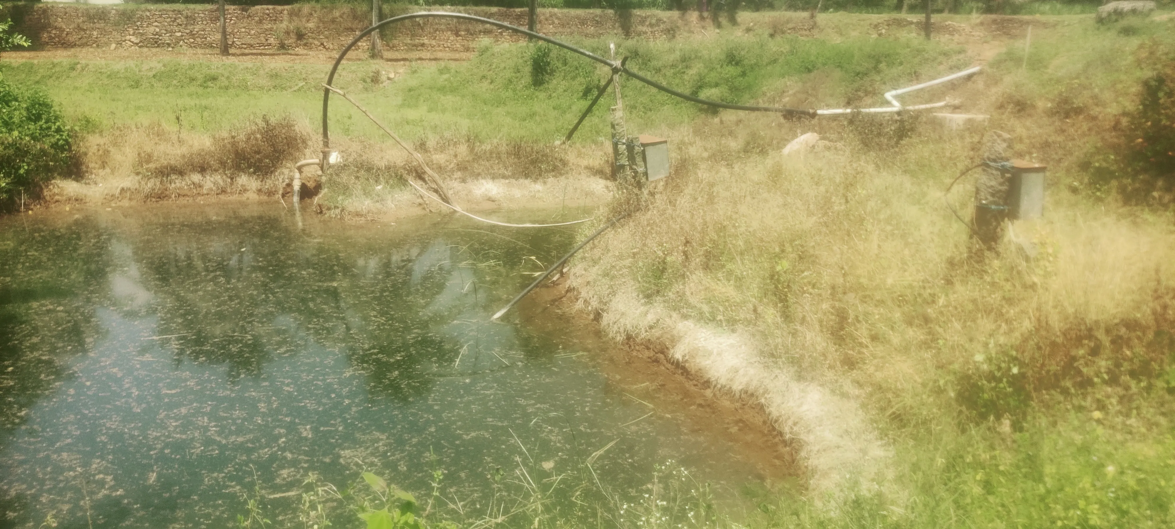 2 acres agriculture property for sale in coimbatore 