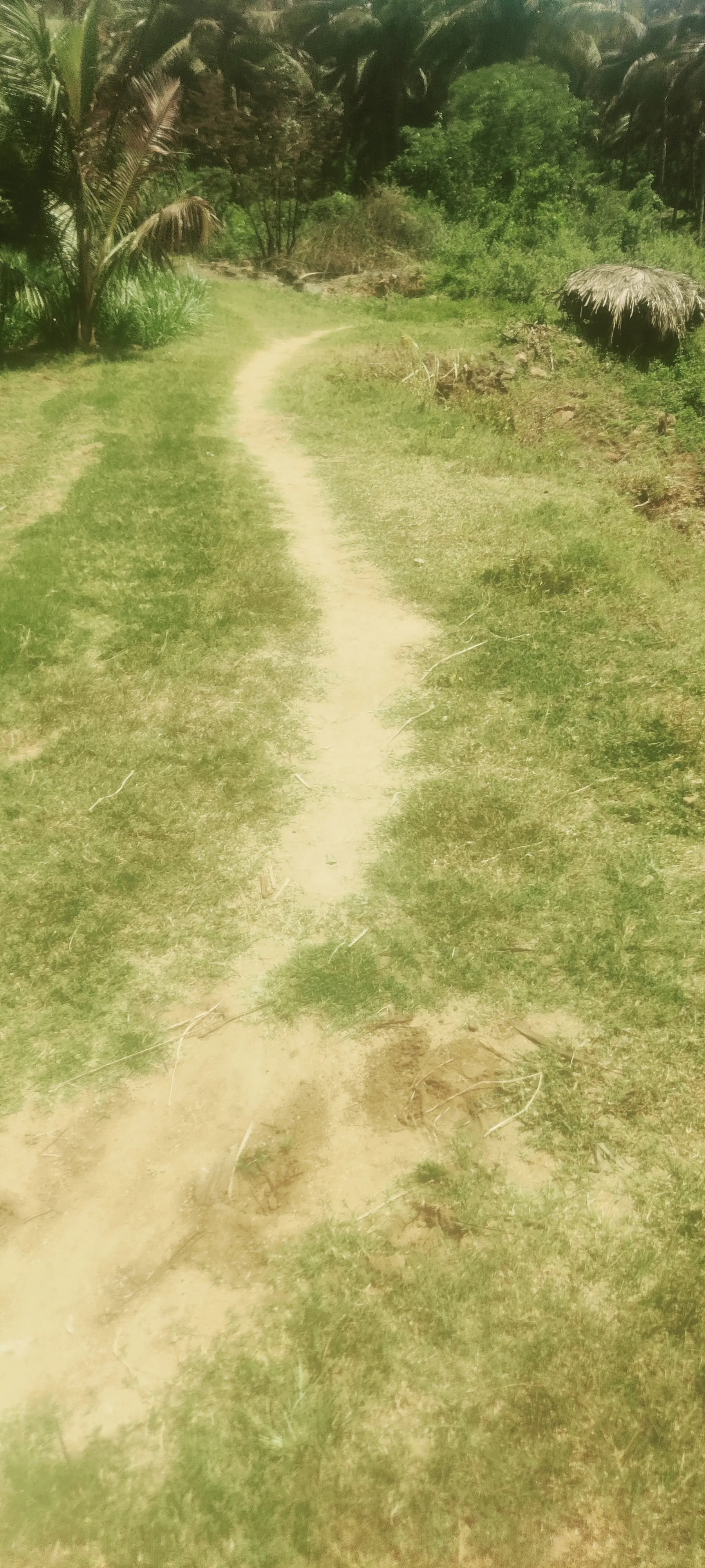 2 acres agriculture property for sale in coimbatore 