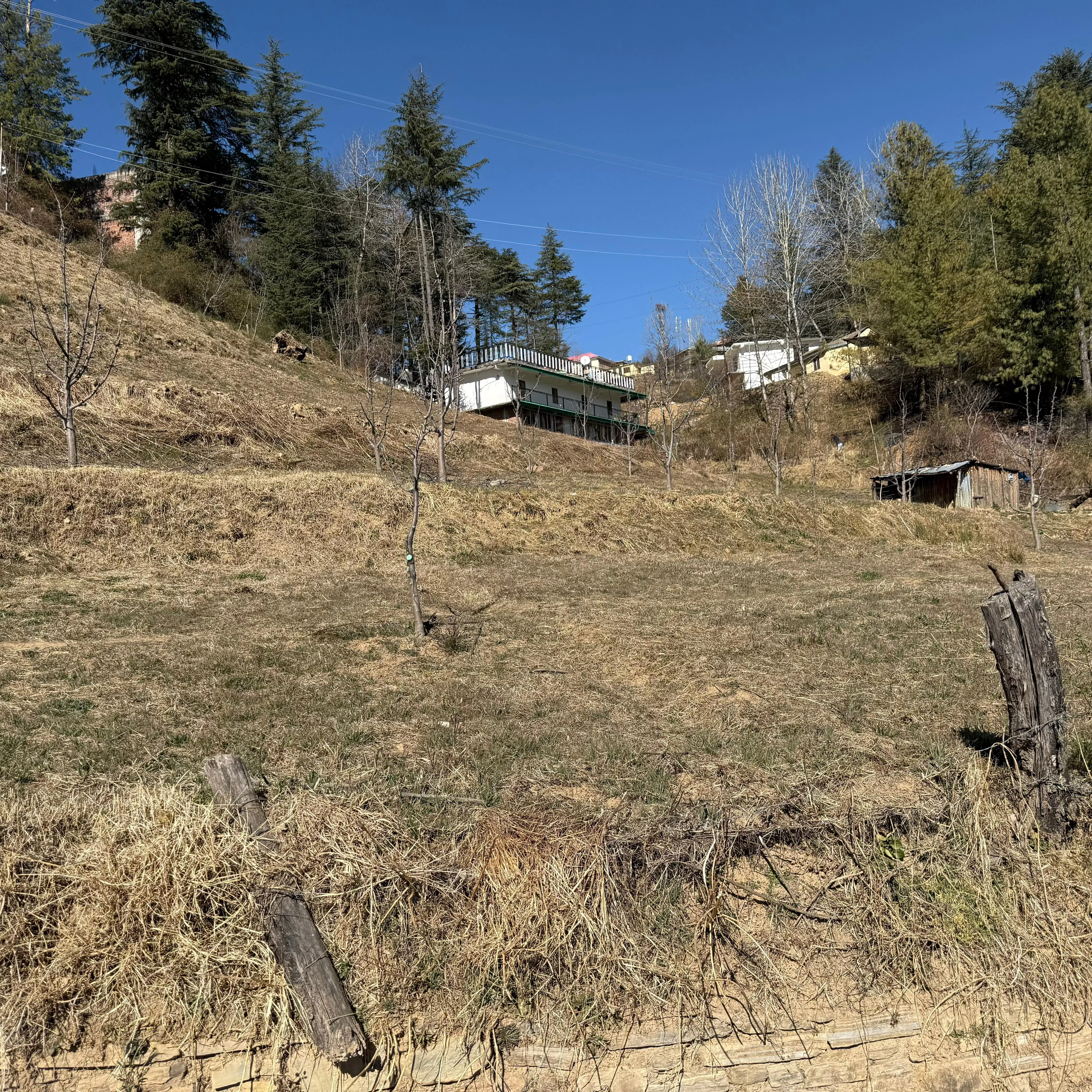 Prime 5.5 Bigha Resort Site in Sandhu | Stunning Valley Facing | High-Density Apple Potential