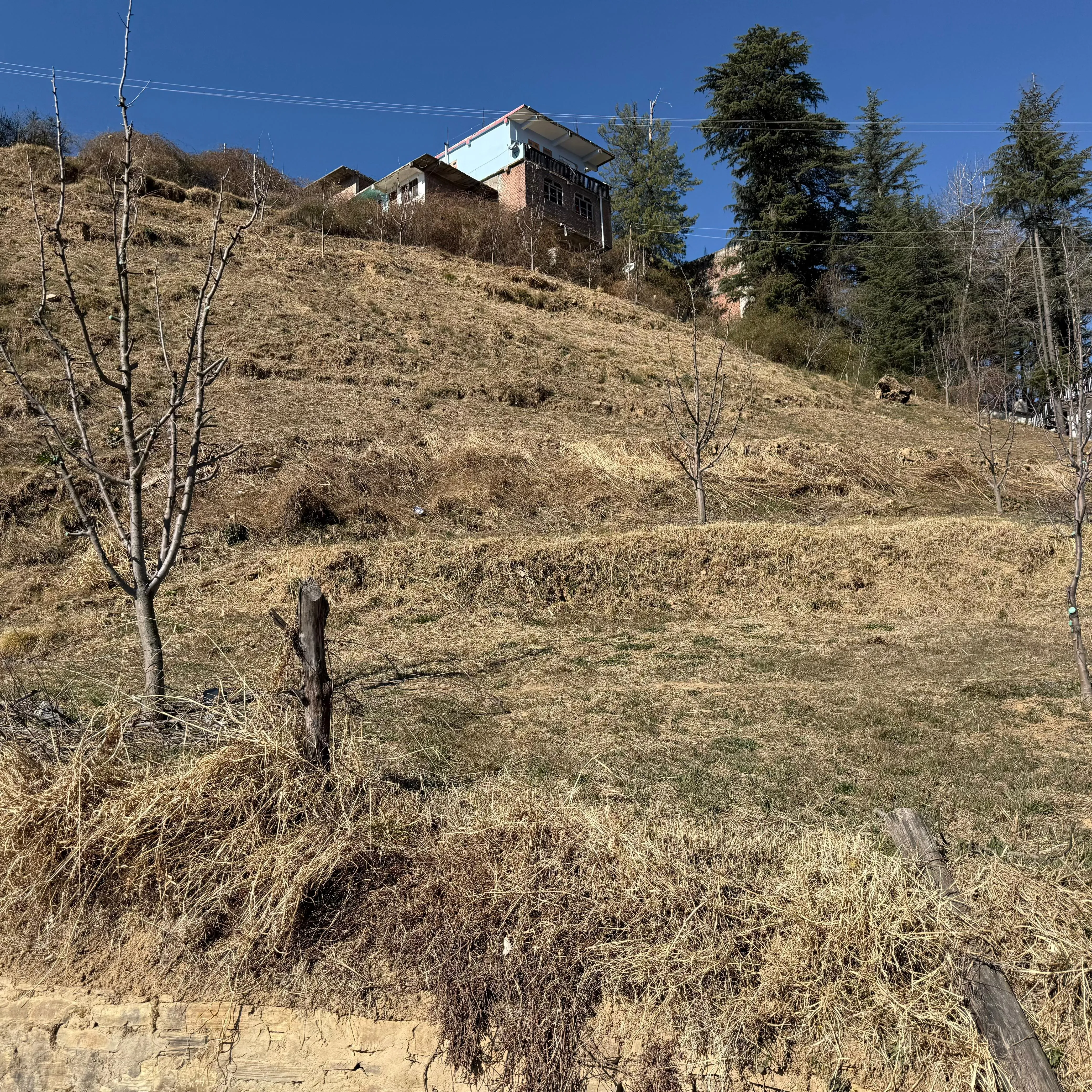 Prime 5.5 Bigha Resort Site in Sandhu | Stunning Valley Facing | High-Density Apple Potential