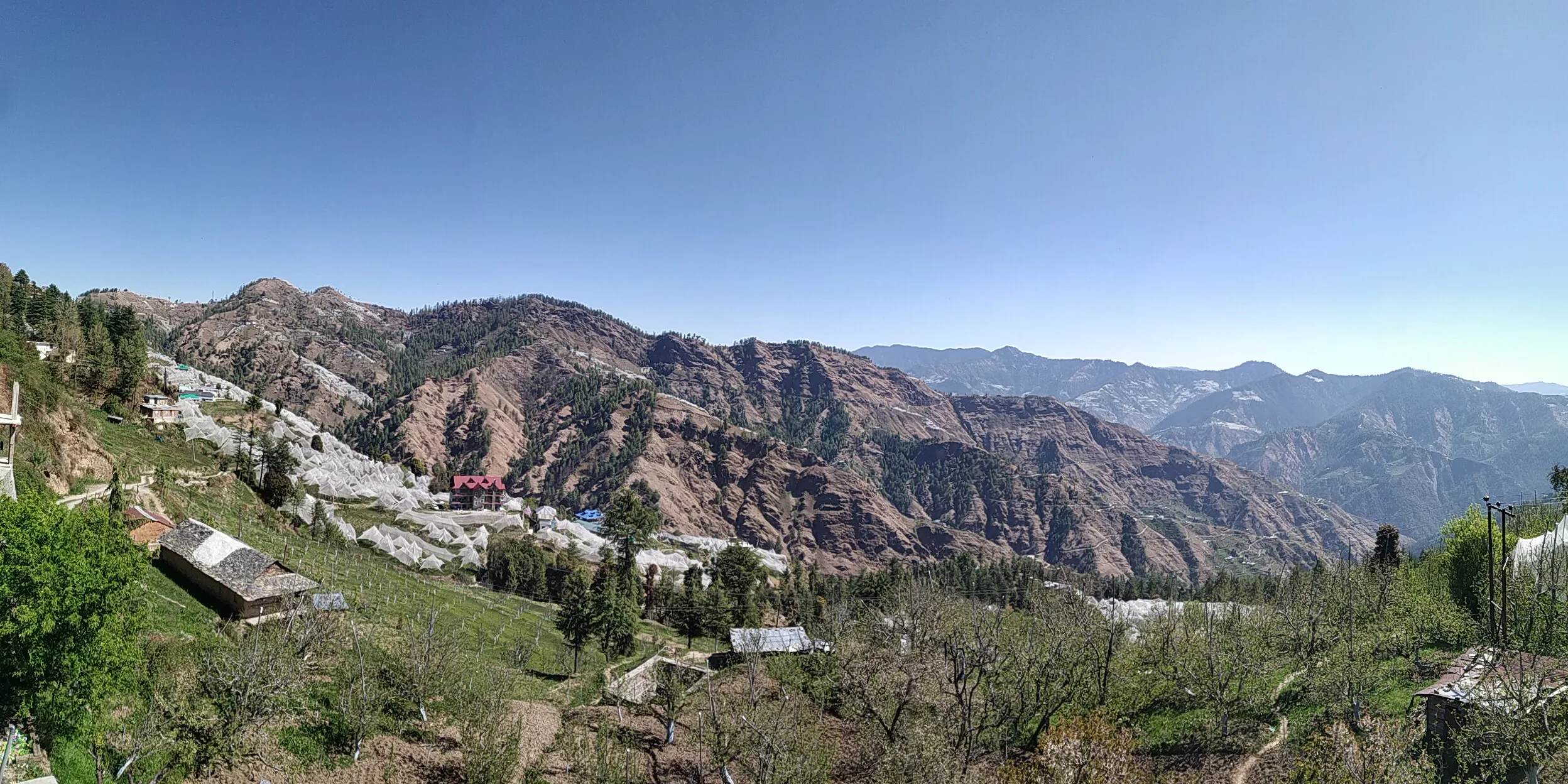 Prime 5.5 Bigha Resort Site in Sandhu | Stunning Valley Facing | High-Density Apple Potential