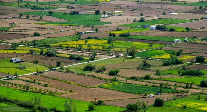 1000 sqft plot mhow indore road par