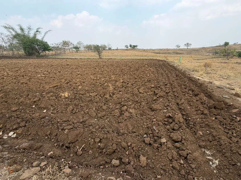 Ananthagiri Hills, Vikarabad 