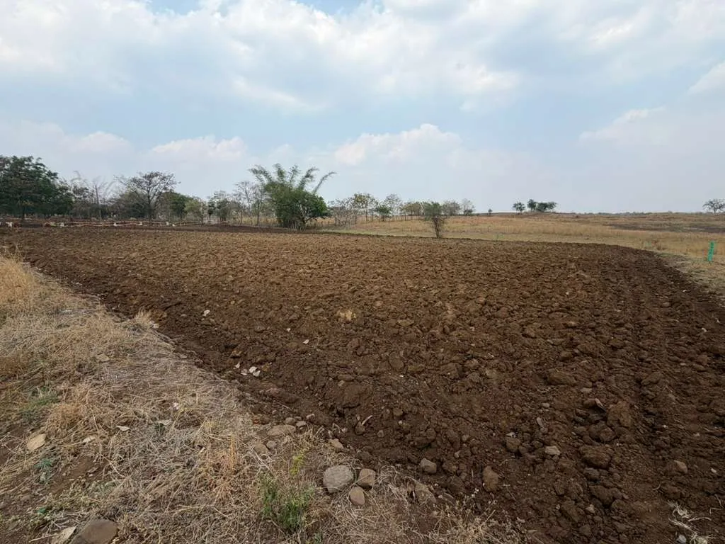 Ananthagiri Hills, Vikarabad 