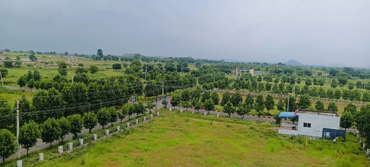  Pharma Green City – DTCP & RERA Approved Open Plots