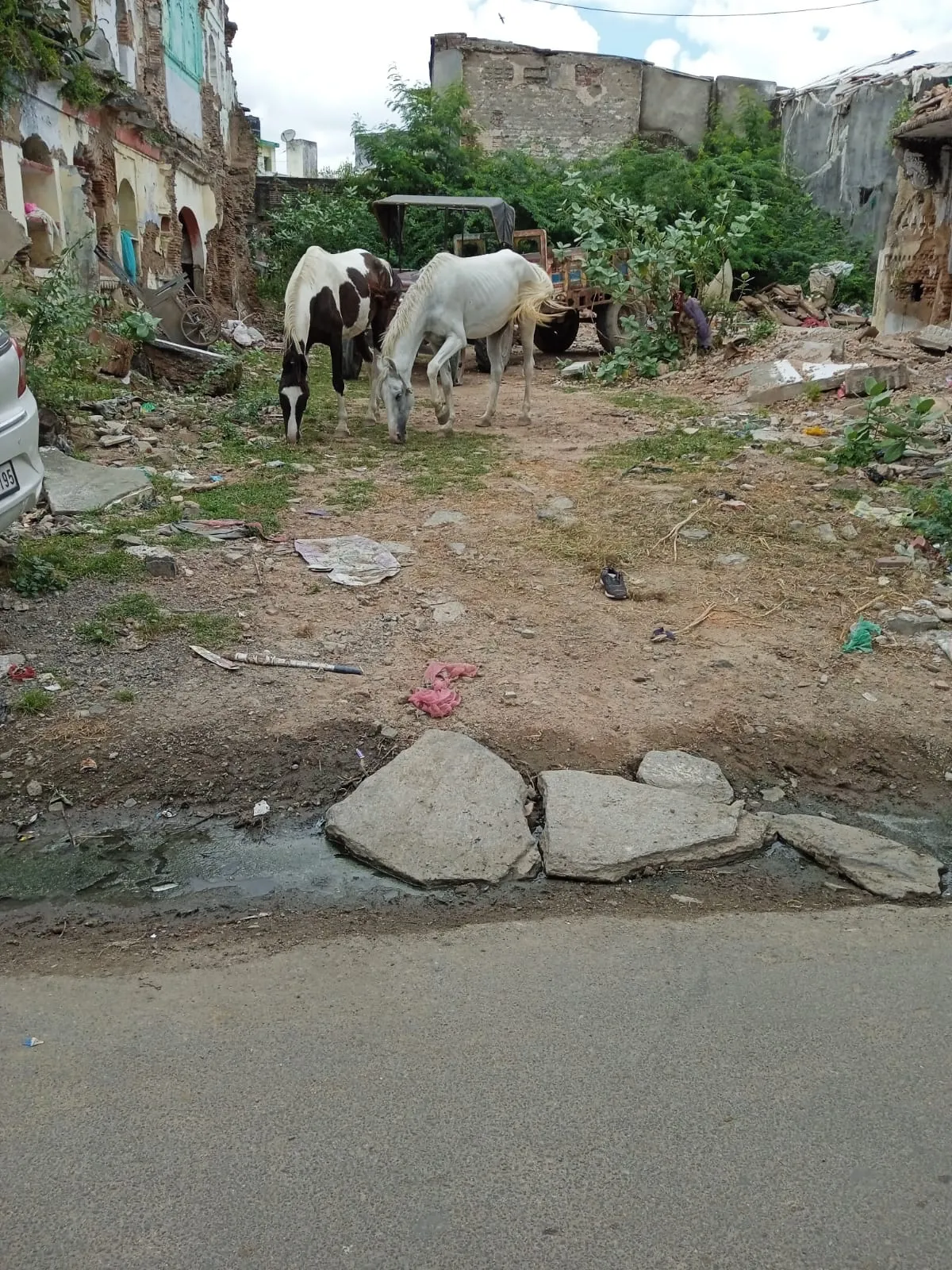 Prime Investment Opportunity: The Iconic "Chordia Bhavan" Plot, Shahpura, Dist. Bhilwara