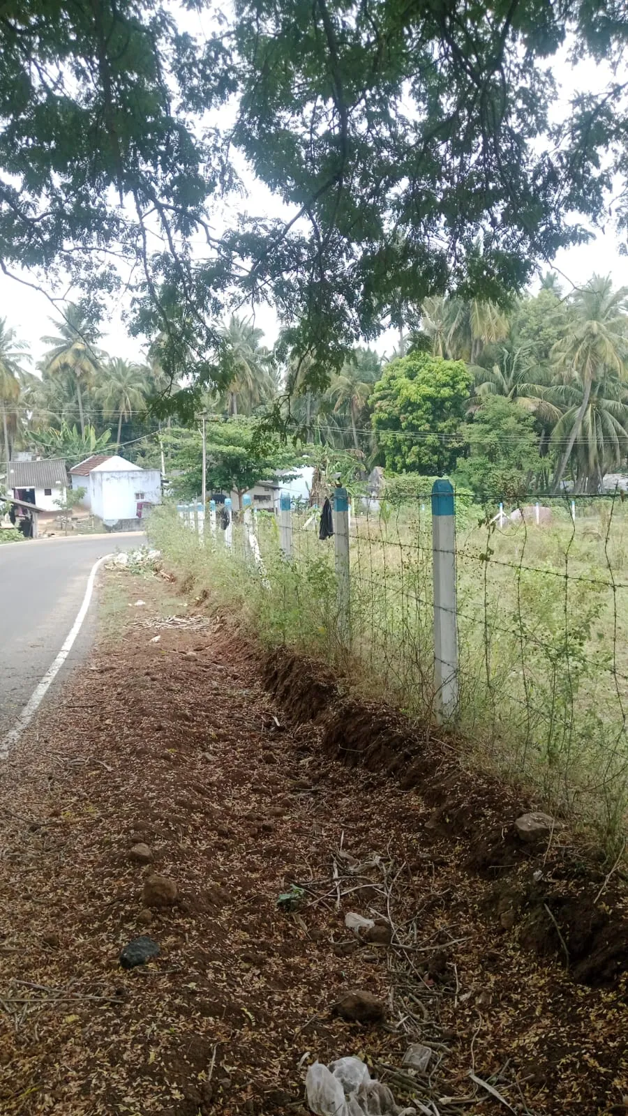 10-Acre Yielding Plantation + Riverfront Agricultural Land | Sethumadai, Pollachi | PAP Canal Water | Clear Title | ₹1 Cr/Acre