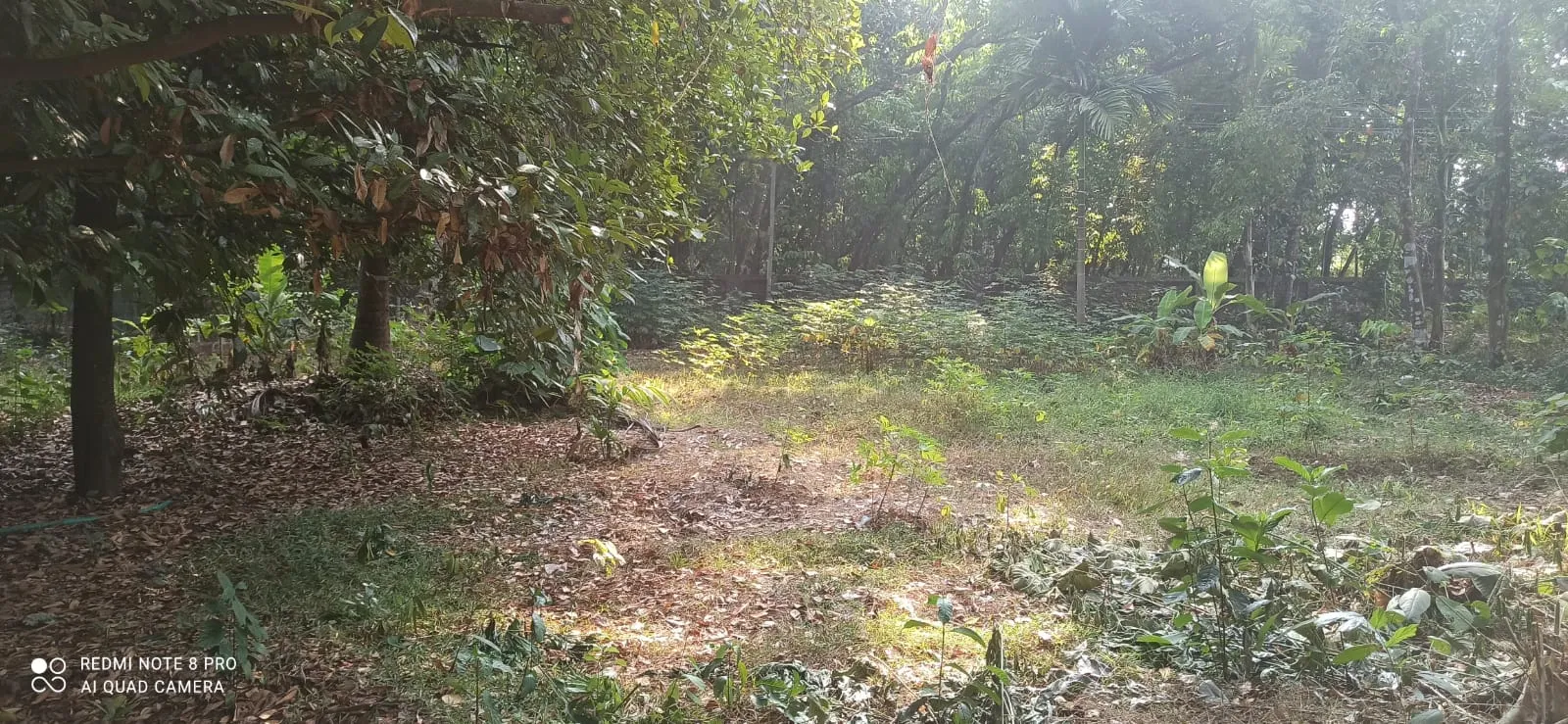 Residential Plot for sale at Puthiyedam, Ernakulam