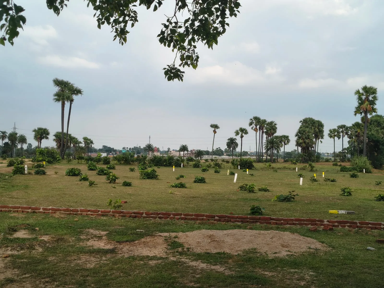 50 kattha plot for sale