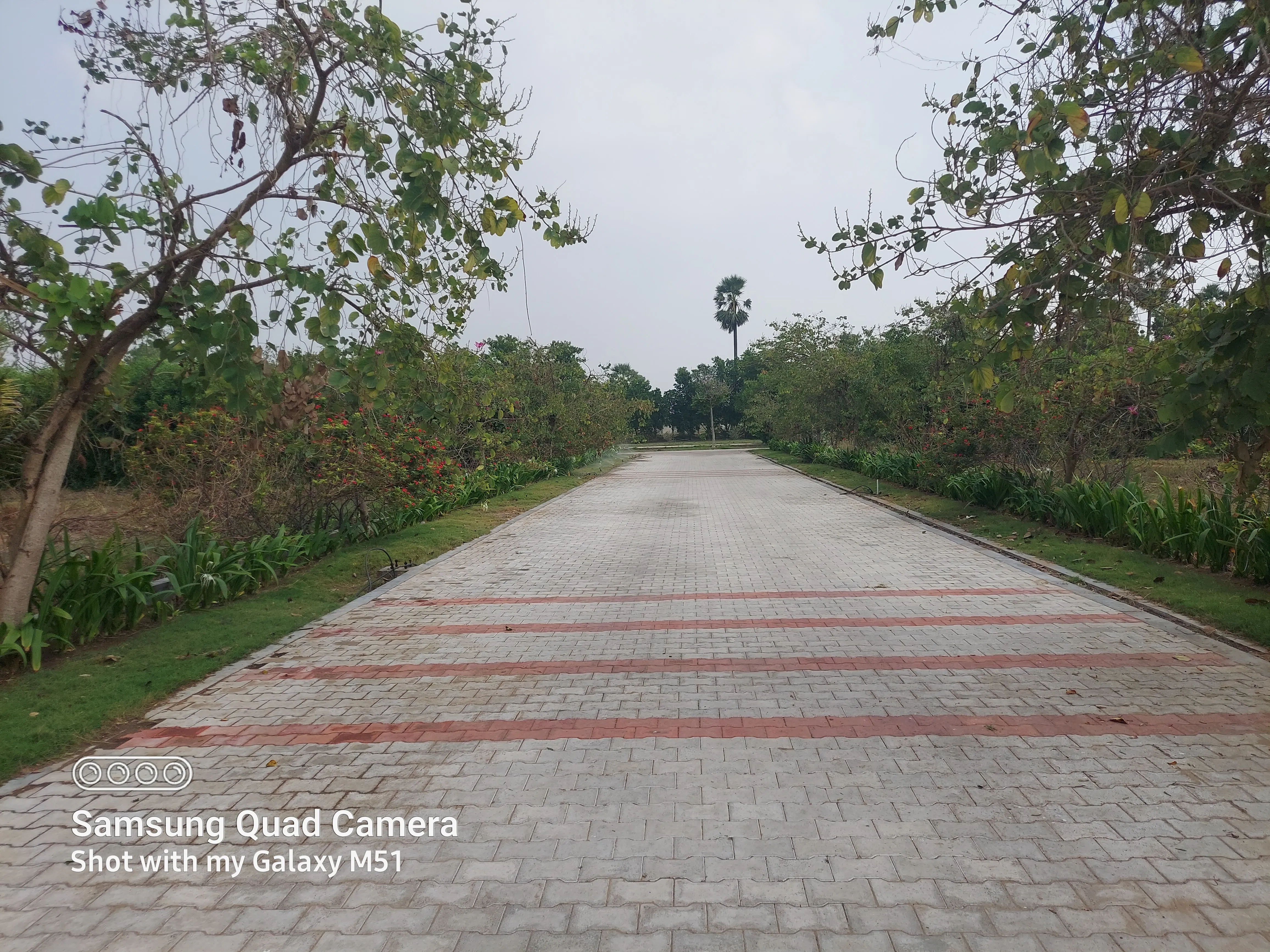 Open PLots In Amaravati For Sale